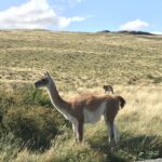 The 10 Cheapest Countries to Travel in 2026 (Destinations Where Your Money Goes the Farthest)