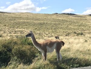 Read more about the article The 10 Cheapest Countries to Travel in 2026 (Destinations Where Your Money Goes the Farthest)