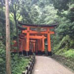 15 Proven Travel Hacks to Cut Your Costs by 50% (Without Sacrificing Comfort)